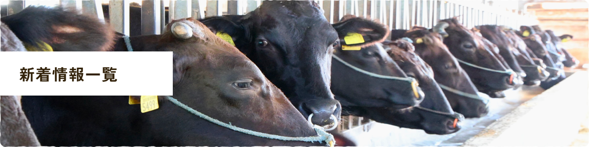 新着情報一覧