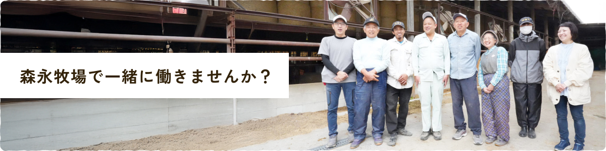 森永牧場で一緒に働きませんか？